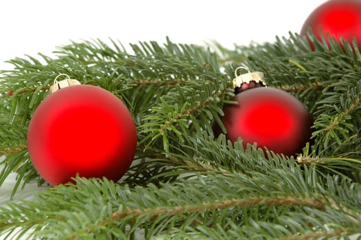 Christmas ball and leafs from a christmas tree