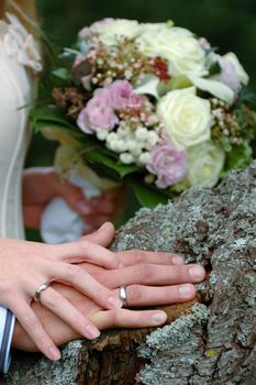 Hands, rings and bouquet of a wedding couple