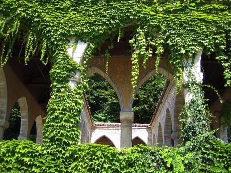 Shady arbor covered with green leaves of ivy