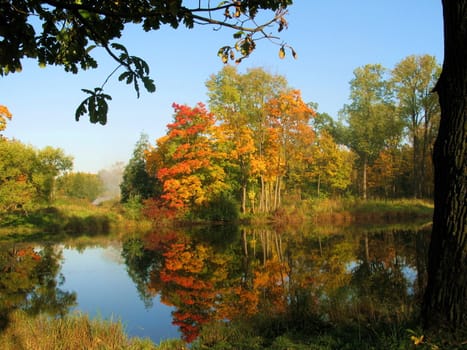 Autumn landscape with colored trees and pond