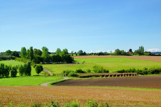 Idyllic farm landscape with blue sky, green fields and trees