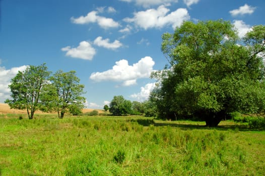 Idyllic landscape with blue sky, white clouds, green grass and trees