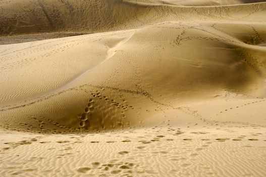 Many foot prints in sand dunes