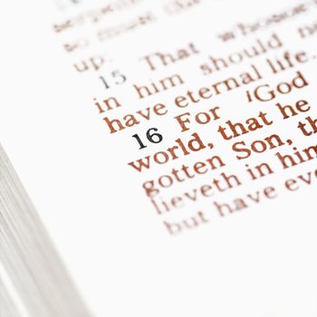 Selective focus of verses in open Holy Bible.