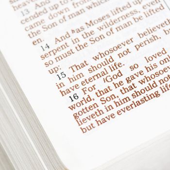 Selective focus of verses in open Holy Bible.