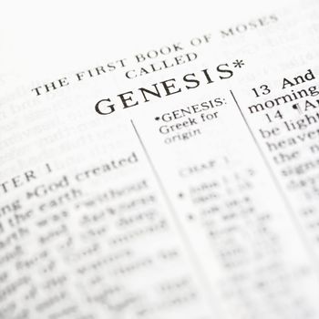 Selective focus of Genesis verses in open Holy Bible.