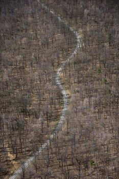 Aerial view of winding rural road through baren forest.