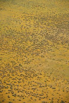 Aerial of rural grassland in California, USA.