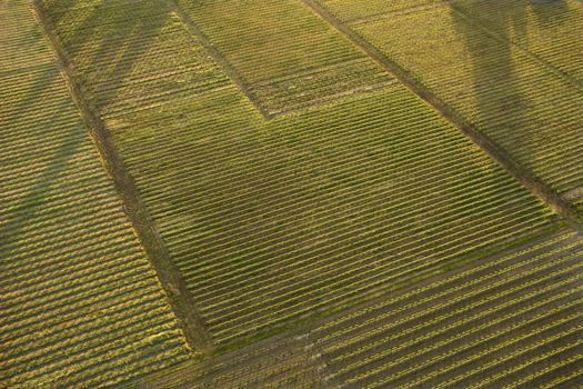 Aerial of agricultural cropland.