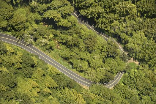 Aerial of winding scenic highway with trees in rural California, USA.