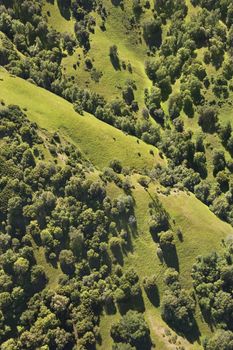 Aerial landscape with grassy pastures and trees.