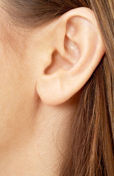 color closeup picture of brunette girl ear