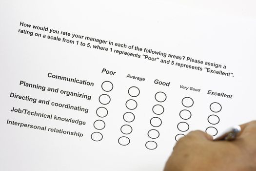 How do you rate your manager survey concept.