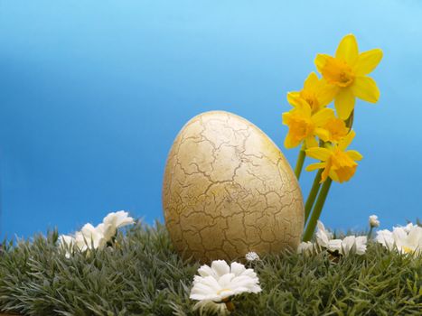 easter egg with drarf daffodils on artificial grass and blossoms, blue background