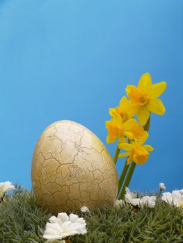 easter egg with drarf daffodils on artificial grass and blossoms, blue background