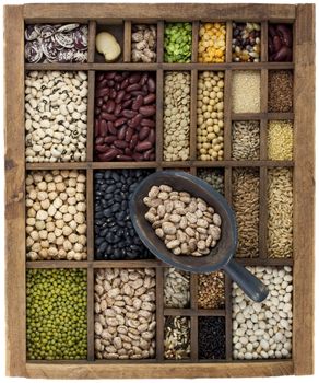 vintage, wooden typesetter case with variety of beans, lentils, peas, grains and seeds with a scoop of pinto