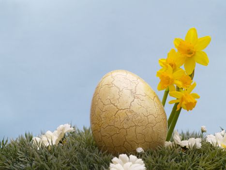 easter egg with drarf daffodils on artificial grass and blossoms, light blue background