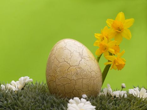 easter egg with drarf daffodils on artificial grass and blossoms, green background
