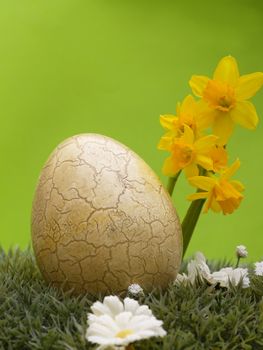 easter egg with drarf daffodils on artificial grass and blossoms, green background