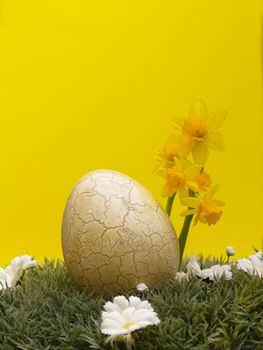 easter egg with drarf daffodils on artificial grass and blossoms, yellow background