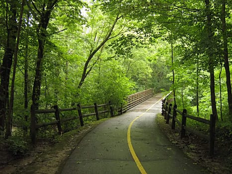 A photograph of a quiet walking trail.