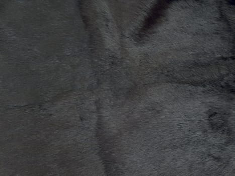 photo of the black fur background