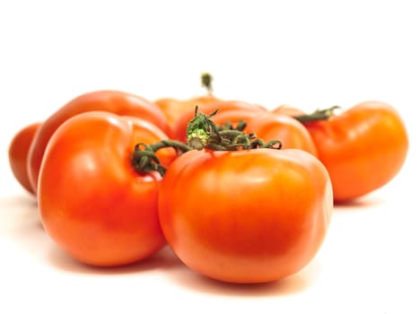 red tomatoes vine against the white background