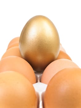 golden egg at the some usual eggs against the white background