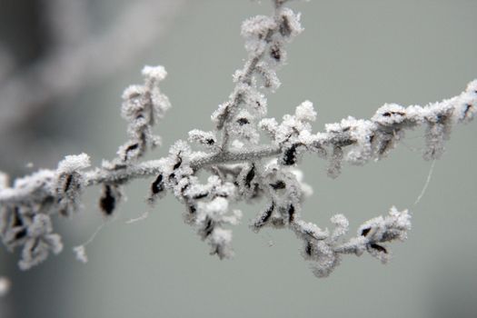 Winter Morning in Oregon.  Photo taken in Culver, OR.