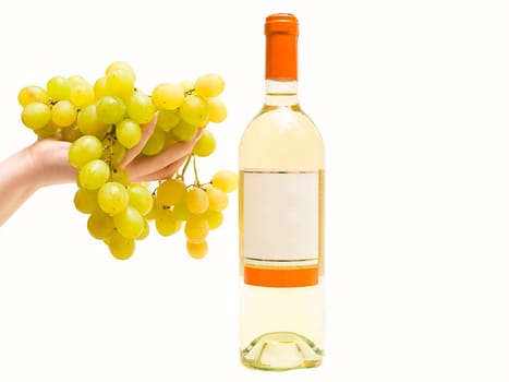 bottle of the white wine and grape in woman hand against the white background