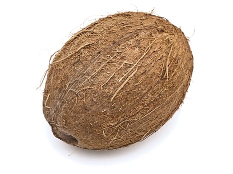 Photo of the coconut against the white background