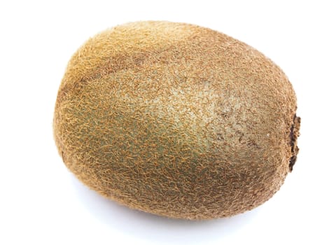 Photo of the single kiwi against the white background