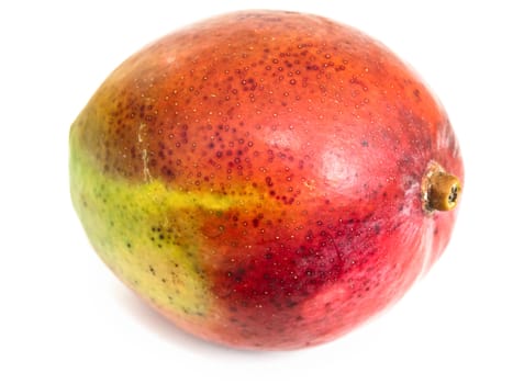 Photo of the single mango against the white background