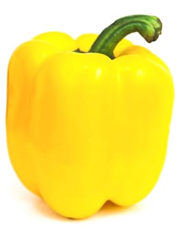 Photo of the single yellow paprika against the white background