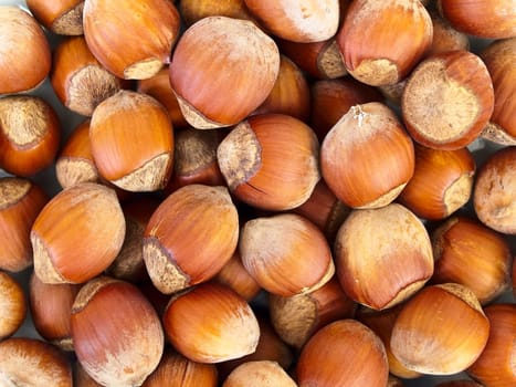 Photo of the hazelnut background