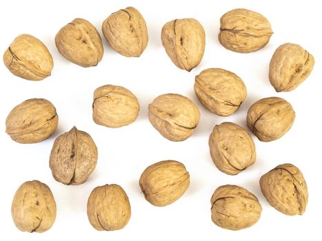 Photo of the walnuts against the white background
