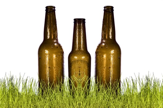 bottle in grass