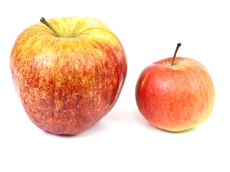 Photo of the apples against the white background