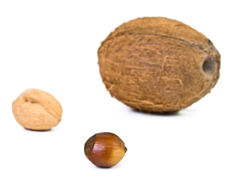 different nuts against the white background