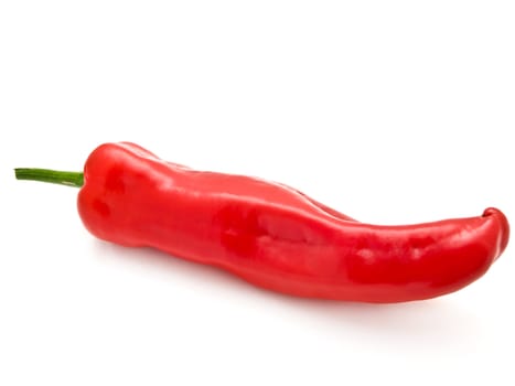 Photo of the single red pepper against the white background