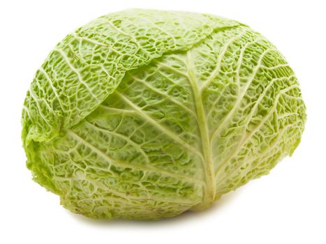 photo of the fresh cabbage over the white background