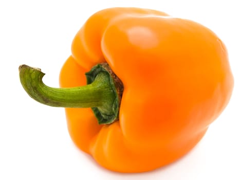 Photo of the single orange paprika against the white background