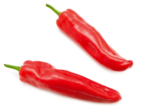 Photo of the single red pepper against the white background