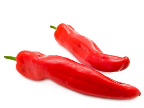 two red peppers over the white background