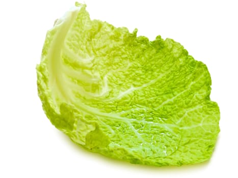 cabbage leaf with clear water inside