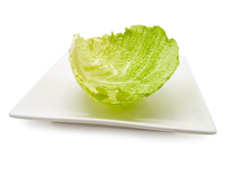 green cabbage leaf at plate against the white background