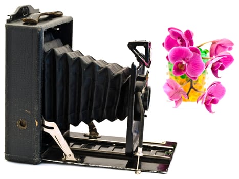 old photo camera against white background with pink orchid flower