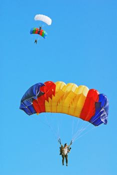 Parachutists under multi-coloured parachutes in the blue sky