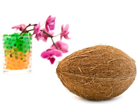 coconut against pink orchid flower in glass with hydrogel