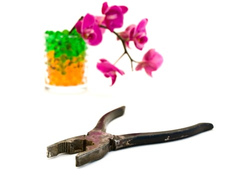 old pliers and pink orchid flower over white background